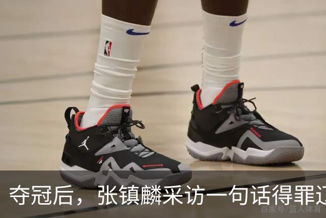 夺冠后，张镇麟采访一句话得罪辽宁，辽蜜：有本事到四川证明价值